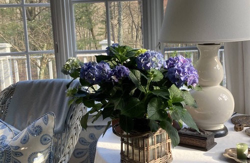 Weston House | Interior Designer's Enchanting Home with Private Beach 1.5hrs from Brooklyn