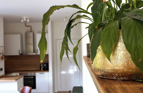 Rauhenbretzingen Apartment | Inviting apartment with balcony in the middle of greenery 8min. from Schwäb.Hall