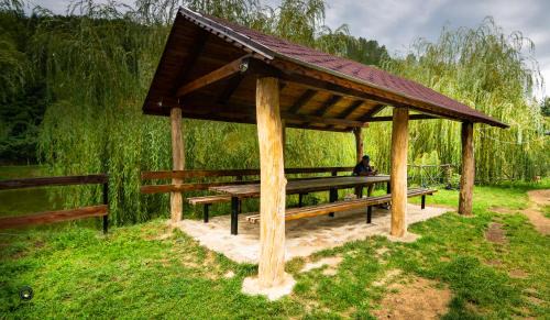 Mehadica Cabin | Ioska Boro