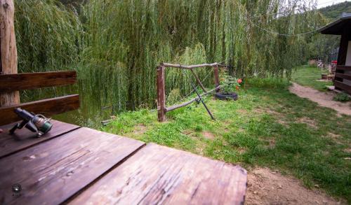 Mehadica Cabin | Ioska Boro