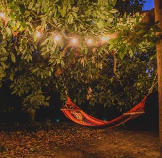 Gastouni House | Irene's Treehouse
