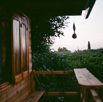 Gastouni House | Irene's Treehouse