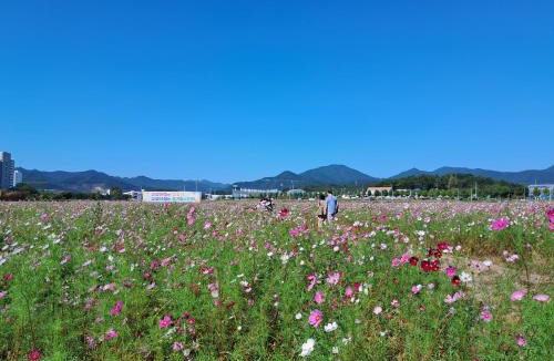 Hwangburam House | Iryang Stay