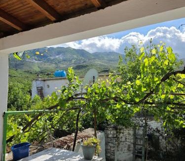 Jala House | Isi's home