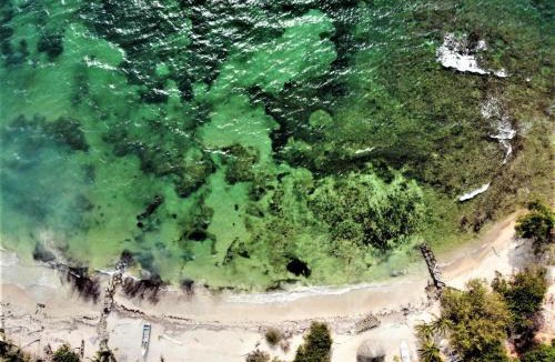 Isla Fuerte Hotel | Isla Fuerte - Wiji Island House