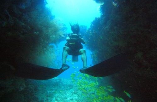 Dhangethi Hotel | Island Scuba