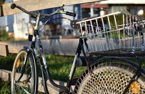 Glott Other | Islandpferdehof Seelengrübchen - Ferien im Bauwagen