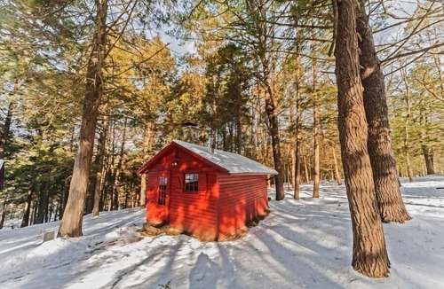 Milford Cabin | Isolated Knotty Pine Charming Cabin w/Stone Fireplace on 575 Acre Preserve