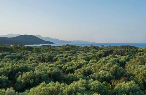 Kalo Chorio House | Istron Maisonettes with private pool