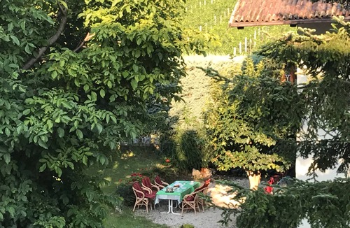 Appiano Sulla Strada del Vino Apartment | Apartment 'Urbonum 2' with Mountain View, Shared Garden and Wi-Fi