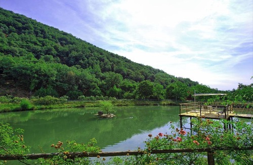 Figline e Incisa Valdarno Other | AGRITURISMO FATTORIA CELLE