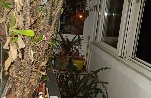 Dorobanti Apartment | It s a central apartment,near big hospital !