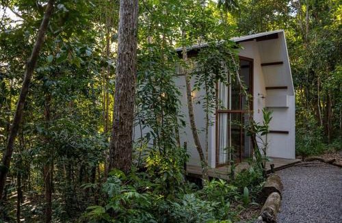 Itacare Cabin | Itacaré Ecolodge - Experiencia de Imersão na Mata Atlântica