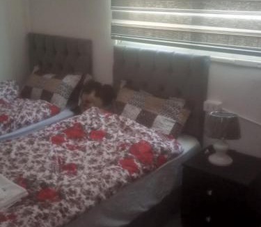 Wadi Musa Hostel | Its your choice hostel