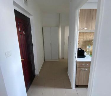 Calea Sever Bocu Apartment | Iulius Town view apartment
