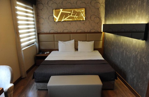 Izmit Hotel | Izmit Saray Hotel