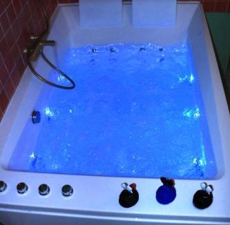 La Chapelle-sur-Loire House | Jacuzzi et Vue sur Loire - Maison d'hôtes L'Odyssée