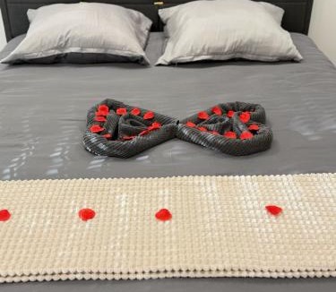 Essey-les-Nancy Apartment | Jacuzzi Privé & Cinéma - Suite Romantique