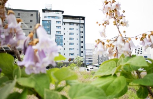 Ulsan Hotel | Jade hotel