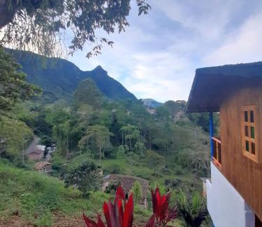 Tamesis Bed & Breakfast | Jaibaná Spa