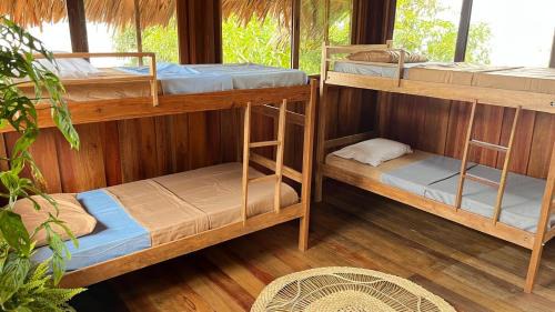 Belem Hostel | Jambu Hostel Combu