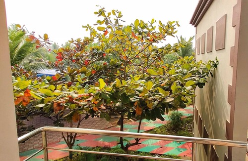 Konark Hotel | Janardan Coco Palms Resort