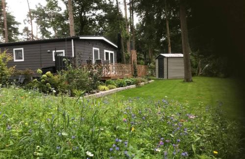 Lochem Ski Chalet | Japanse bostuin met Wifi
