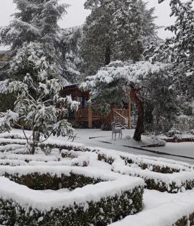 Becerril de la Sierra House | Jardín Las Secuoyas