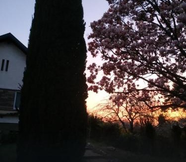 Lingolsheim Apartment | Jardin Fleuri