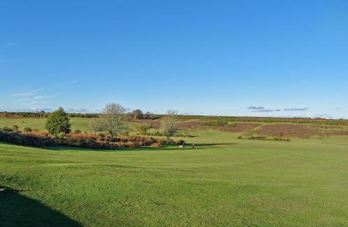 New Forest District House | Jasmine Cottage