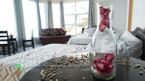 Boljoon Resort | Jaynet Oceanview Resort