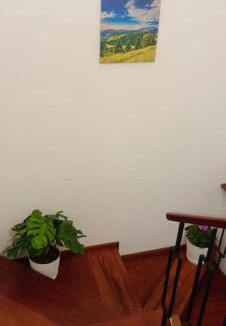 Santa Cruz House | Jazmines