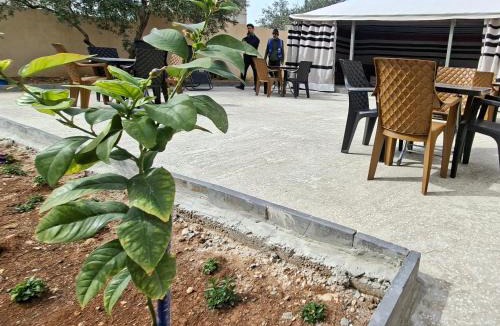 Jerash House | Jeeso Hotel
