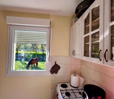 Donje Polje House | Jelena