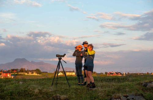Luroy Bed & Breakfast | Jettehuset B&B