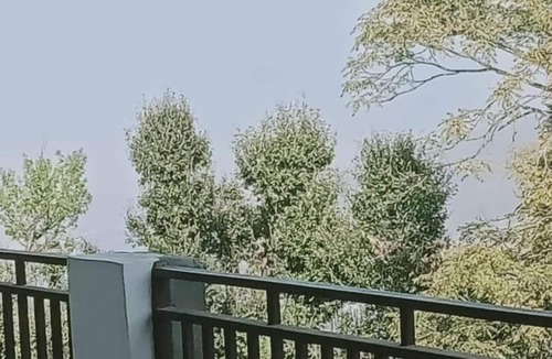 Kausani Apartment | Jfr Studio Apartments Kausani