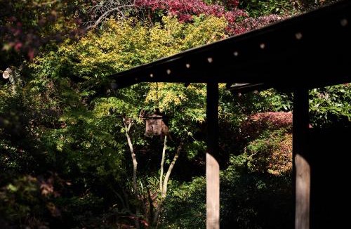 Hadano Hotel | Jinya Ryokan