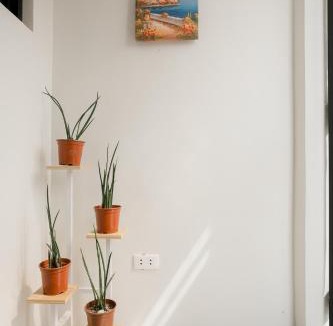 Pili House | Joanna Transient Home