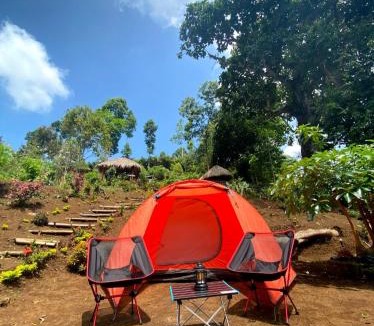 Argosari Other | Joe Nature Camp