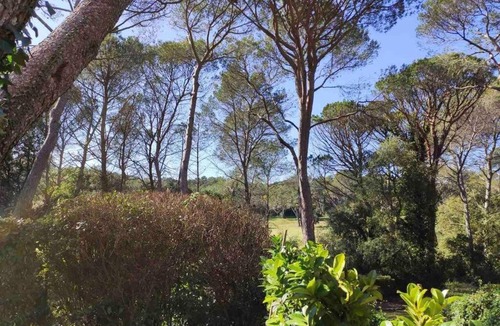 Valescure Apartment | Joli T2 Golfs de Valescure, jardin privé, piscine et tennis dans la Résidence