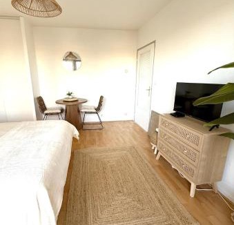 Bellerive-sur-Allier Apartment | Jolie suite Bohème avec terrasse et vue sur le lac