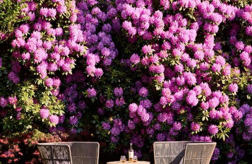 East Hampton North Hotel | Journey East Hampton