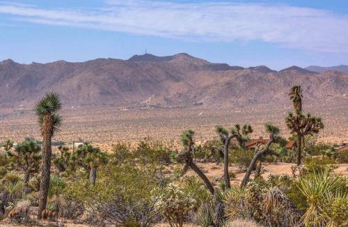 Yucca Valley House | JT Cottage