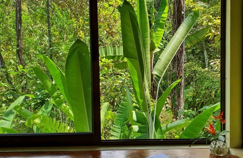 Portalon Cabin | Jungle Cabin - Walking distance from the river!
