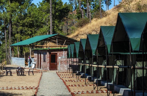Kandaghat RV Rental | Jungle Stays
