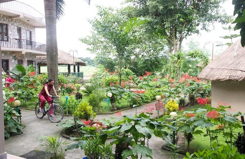 Sauraha Hotel | Jungle Sunset Camp