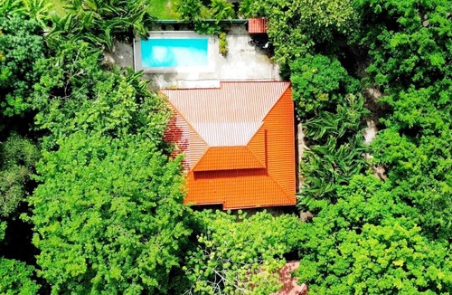 Nosara House | Jungle surf monkey
