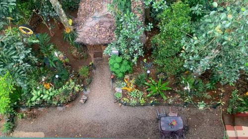 Kumily House | Jungleview Home Stay