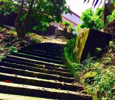 Fanlu House | Juo House