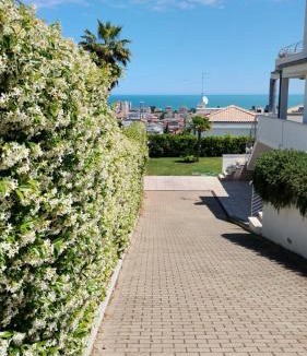 Montesilvano House | just blue